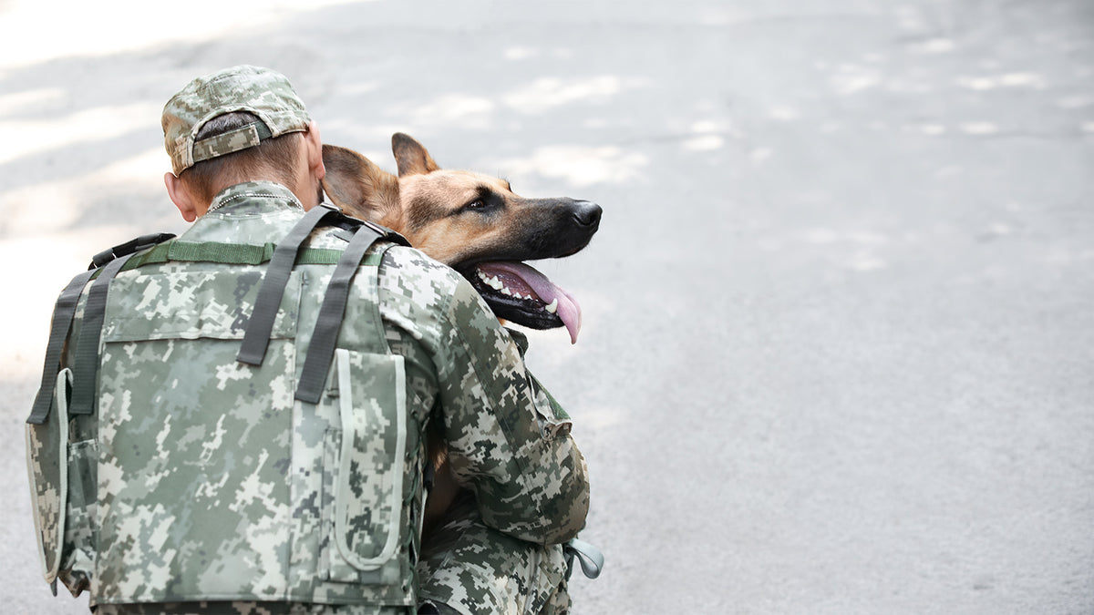 U.S. veteran kneeling beside a golden retriever service dog at golden hour